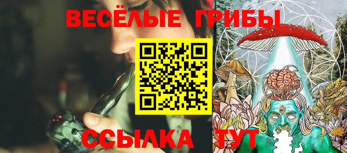 Псилоцибиновые грибы Psilocybine cubensis Дзержинский